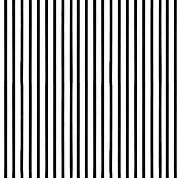 Seamless pattern black and white stripes. Background. The print Stock Illustration