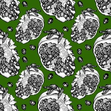 Seamless pattern black and white line art ornate pomegranate with seeds for Stock Illustration