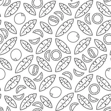Seamless pattern with black and white palm leaves and coconuts. Stock Illustration