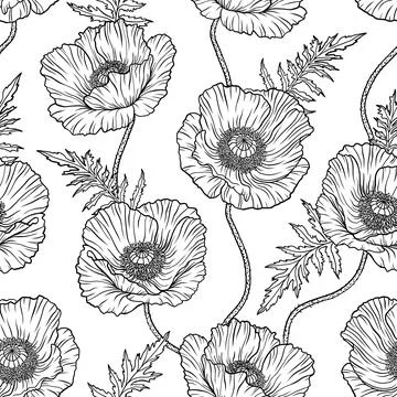 Seamless pattern with black and white poppy flowers. Papaver. Hand drawn line Stock Illustration