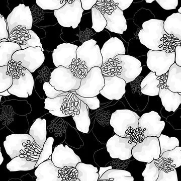 Seamless pattern with black and white flowers chamomile. vector illustratio.. Stock Illustration