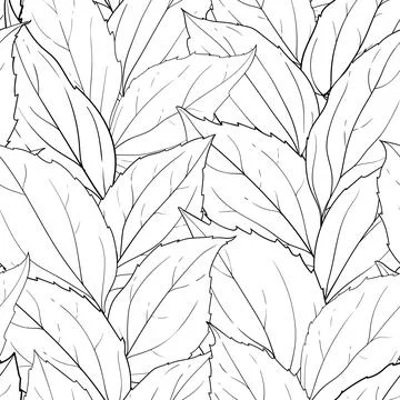 Seamless pattern black and white leaves background. Hand-drawn in sketh and.. Stock Illustration