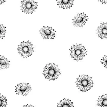 Seamless pattern with black and white flowers daisy. vector illustration. d.. Stock Illustration