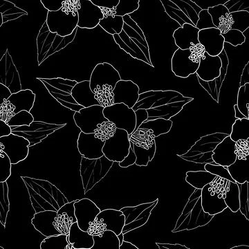 Seamless pattern with black and white flowers chamomile. vector illustratio.. Illustrazione stock