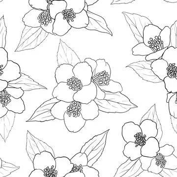 Seamless pattern with black and white flowers chamomile. vector illustratio.. Stock Illustration