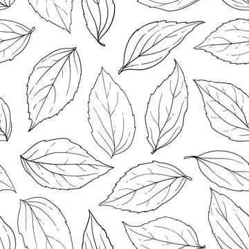 Seamless pattern black and white leaves background. Hand-drawn in sketch an.. Stock Illustration
