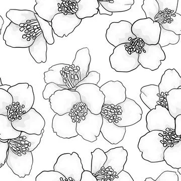 Seamless pattern with black and white flowers chamomile. vector illustratio.. Stock Illustration