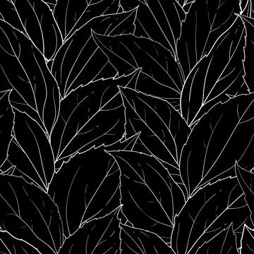 Seamless pattern black and white leaves background. Hand-drawn in sketch an.. Stock Illustration