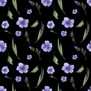 Seamless pattern with black background of wild blue violet flowers and herbs Stock Illustration