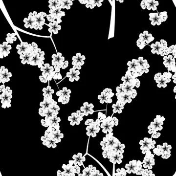 Seamless pattern with black cherry flowers イラスト素材