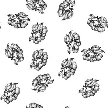 Seamless pattern black chokeberry aronia sketch hand drawn Stock Illustration