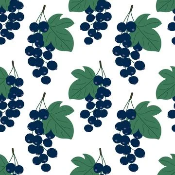 Seamless pattern with black currant berries hang from green leaves Stock Illustration
