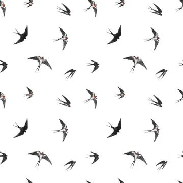 Seamless pattern with black flying swallow birds Illustrazione stock