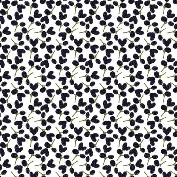 Seamless pattern with black grapes on white background. Stock Illustration