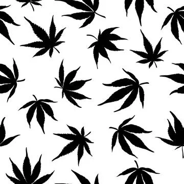 Seamless pattern of black hemp on a white background. Marijuana pattern. Stock Illustration