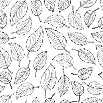 Seamless pattern with black leaves on white background. Black white sketch. Hand Stock-Illustration