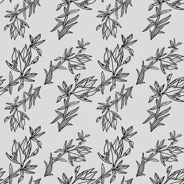 Seamless pattern black line art bouquet lily isolated on grey background. Hand Stock Illustration