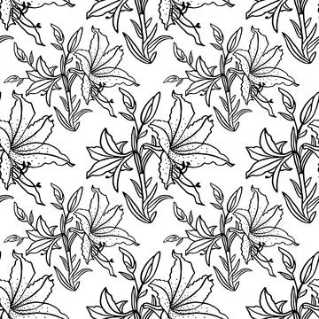 Seamless pattern black line art bouquet lily isolated on white background. Hand Stock Illustration