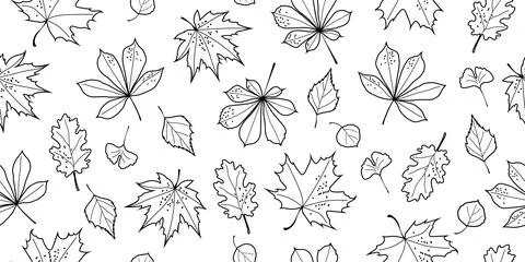 Seamless pattern with black line art autumn leaves on white background Stock Illustration