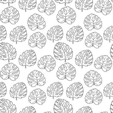 Seamless pattern black lines manstera leaves on white background Stock Illustration
