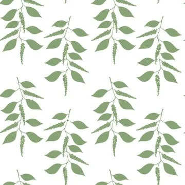 Seamless pattern Black pepper Stock Illustration