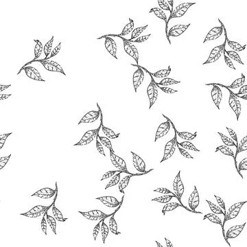 Seamless pattern black tea leaf sketch hand drawn イラスト素材