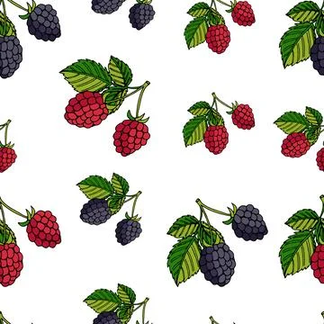 Seamless pattern blackberries and raspberries Stockillustratie