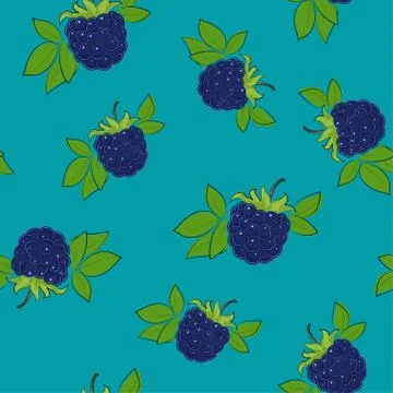 Seamless Pattern , Blackberry on Azure Background 스톡 일러스트