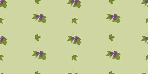 Seamless Pattern with Blackcurrant Berries and Leaves On Green Background. .. Illustrazione stock