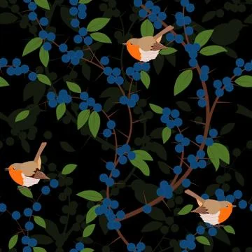 Seamless pattern of Blackthorn berries and robin birds Stock Illustration