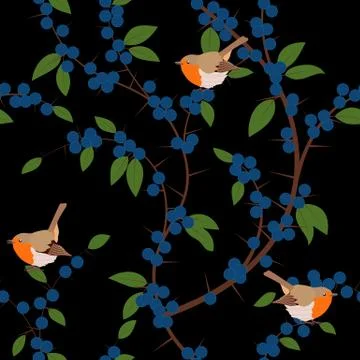 Seamless pattern of Blackthorn berries and robin birds Stock Illustration