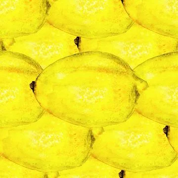 Seamless pattern with blood oranges Stock Illustration