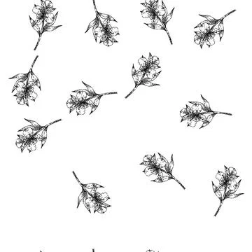 Seamless pattern bloom astroemeria sketch hand drawn Stock Illustration