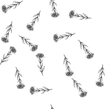 Seamless pattern bloom carnation sketch hand drawn Stock Illustration