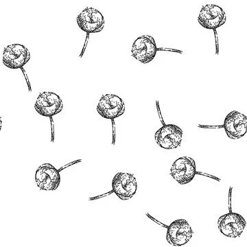 Seamless pattern bloom peony sketch hand drawn Stock Illustration