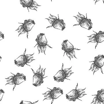 Seamless pattern bloom rose flower sketch hand drawn Stock Illustration