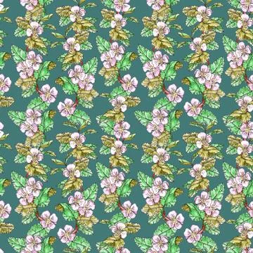 Seamless pattern of blooming apple branches with leaves on a dark turquoise b Stock Illustration