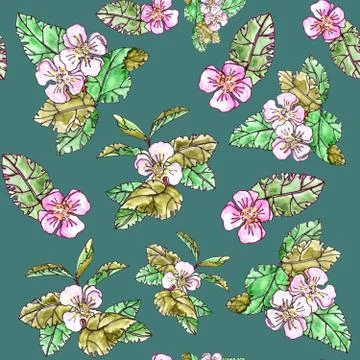 Seamless pattern of blooming apple branches with leaves on a dark turquoise b Stock Illustration
