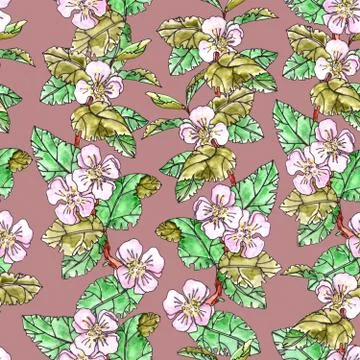 Seamless pattern of blooming apple tree branches on a dark pink background イラスト素材