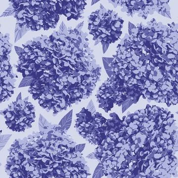 Seamless pattern blooming hydrangea flowers purple color Stock Illustration
