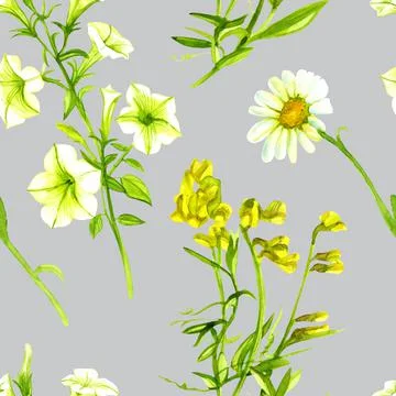 Seamless pattern blooming peas chamomile white petunia watercolor Stock Illustration