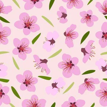 Seamless pattern of blooming pink flowers and green leaves. Vector illustration Stock Illustration