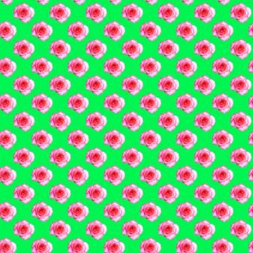 Seamless pattern with a blooming rose bud on a light green background. Modern Stock Illustration