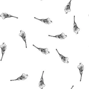 Seamless pattern blossom calla lily sketch hand drawn イラスト素材