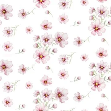 Seamless pattern of blossom pink cherry flowers in watercolor style with white Stock Illustration