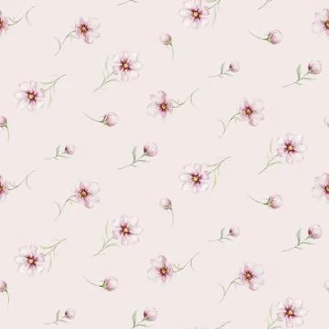 Seamless pattern of blossom pink cherry flowers in watercolor style with white Stock Illustration