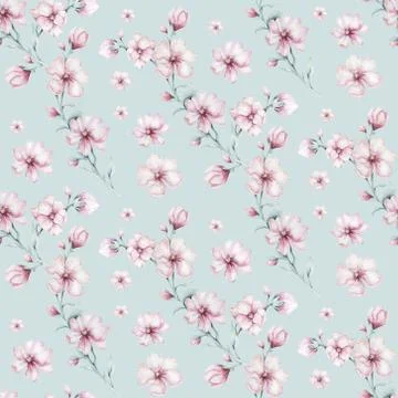 Seamless pattern of blossom pink cherry flowers in watercolor style with white Stock Illustration