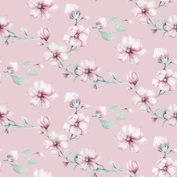 Seamless pattern of blossom pink cherry flowers in watercolor style with white Stock Illustration