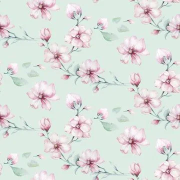Seamless pattern of blossom pink cherry flowers in watercolor style with white Stock Illustration