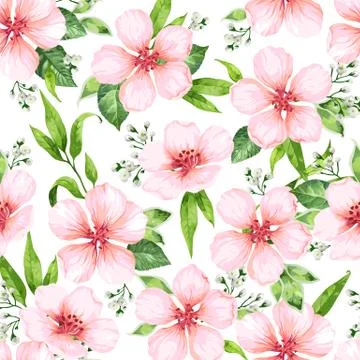 Seamless pattern with blossoming apple tree flowers on white background Stock Illustration